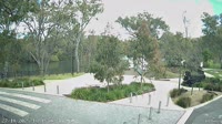 Albury - Murray River