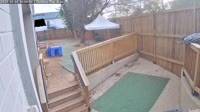 Rockville - Pup Scouts Dog Care