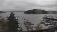 Friday Harbor - Zbiór kamer