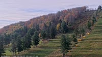 Wisp Ski Resort