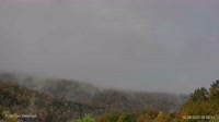 Gatlinburg - Bosques