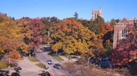 East Lansing - Michigan State University