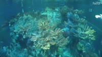 Boston - New England Aquarium