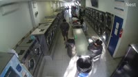 West Hempstead - Woodfield Laundromat Express