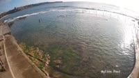 Coogee - Wylie’s Baths