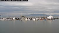 Bellingham - Squalicum Harbor
