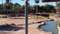 Tucson - Reid Park Zoo