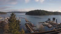Friday Harbor - Zbiór kamer