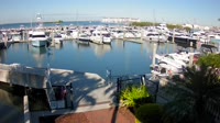 Tampa - Westshore Yacht Club Marina