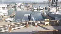 Sausalito - Schoonmaker Point Marina