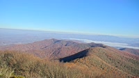Pasmo Błękitne - Brasstown Bald
