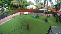 Stuart - The Bark Park