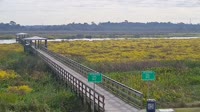 Beaumont - Cattail Marsh