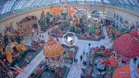 Las Vegas - Bellagio Conservatory