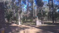 Ludlow - Ludlow Tuart Forest