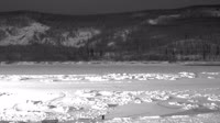 Nenana Ice Classic