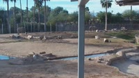 Tucson - Reid Park Zoo
