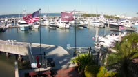 Tampa - Westshore Yacht Club Marina
