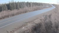 Badger - Trans Canada Highway