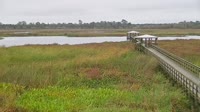 Beaumont - Cattail Marsh