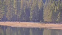 Donner Lake Village