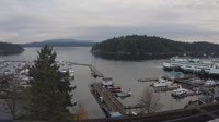 Friday Harbor - Zbiór kamer