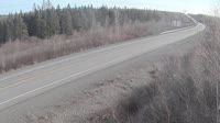 Badger - Trans Canada Highway