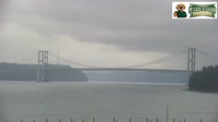 Tacoma - Narrows Bridge