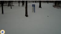 Rockwood - Laurel Ridge State Park XC Ski Area