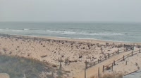 Long Beach Island - Surf City