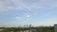 Tampa - Panorama della città