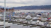 Kelowna - Marina