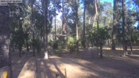 Ludlow - Ludlow Tuart Forest