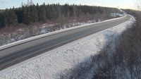 Badger - Trans Canada Highway