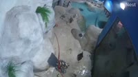 Point Pleasant Beach - Jenkinson's Aquarium - Pingwiny
