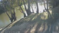 Koondrook - Murray River