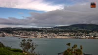 Dunedin - Otago Harbour