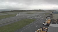 Port lotniczy Paine Field Snohomish