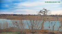 Westminster - Standley Lake Regional Park - Aquile calve