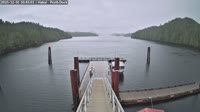 Calvert Island - Field Station Dock, West Beach, Mount Buxton