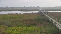 Beaumont - Cattail Marsh