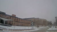 Universidad de Minnesota