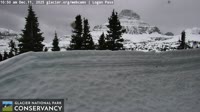 Glacier National Park - Logan Pass