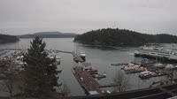 Friday Harbor - Raccolta di webcam
