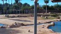 Tucson - Reid Park Zoo