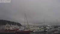 Anacortes - Cap Sante Marina