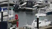 Newhaven - Marina
