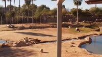 Tucson - Reid Park Zoo