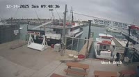 Port Aransas - Dolphin Dock