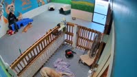 Chantilly - Dog Tales Daycare & Boarding